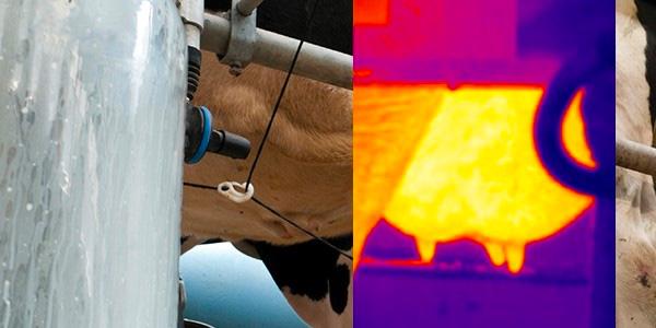 NEK 405-3 Tillegg B, El-kontroll landbruk